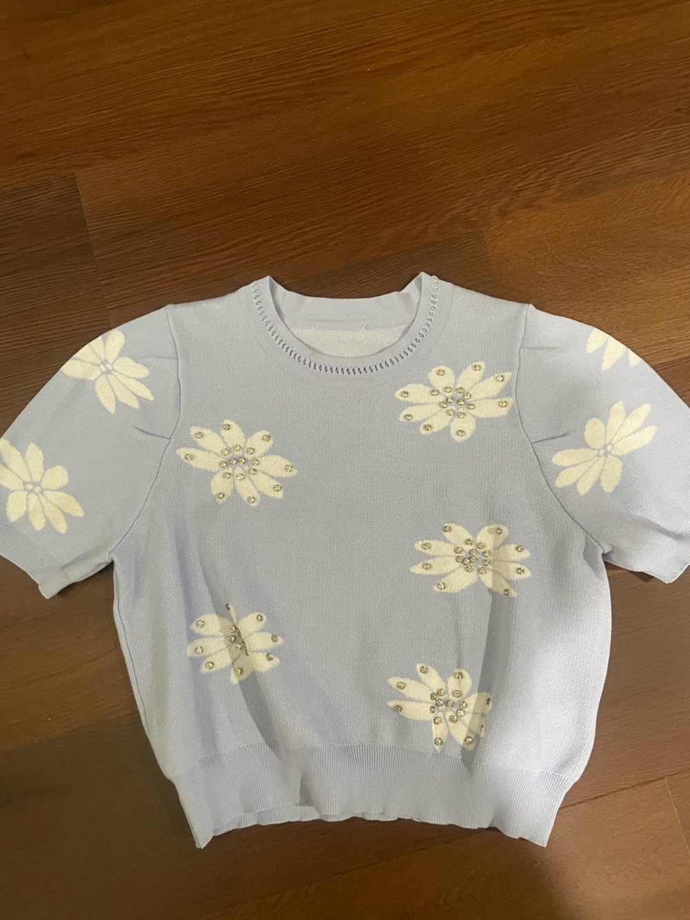 Light Blue Floral Embellished Short Sleeve Top